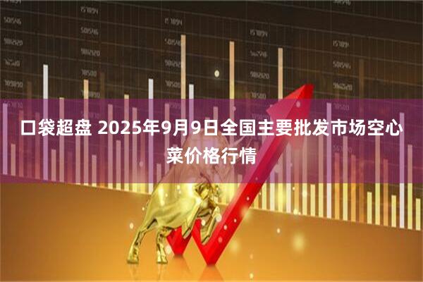 口袋超盘 2025年9月9日全国主要批发市场空心菜价格行情