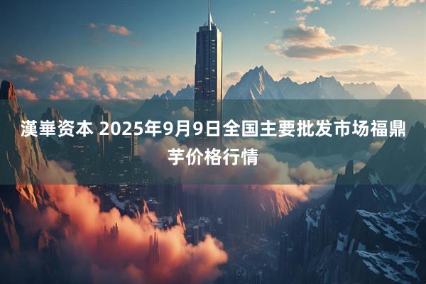 漢崋资本 2025年9月9日全国主要批发市场福鼎芋价格行情